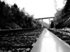 Tracks Chalk.jpg (69kb)